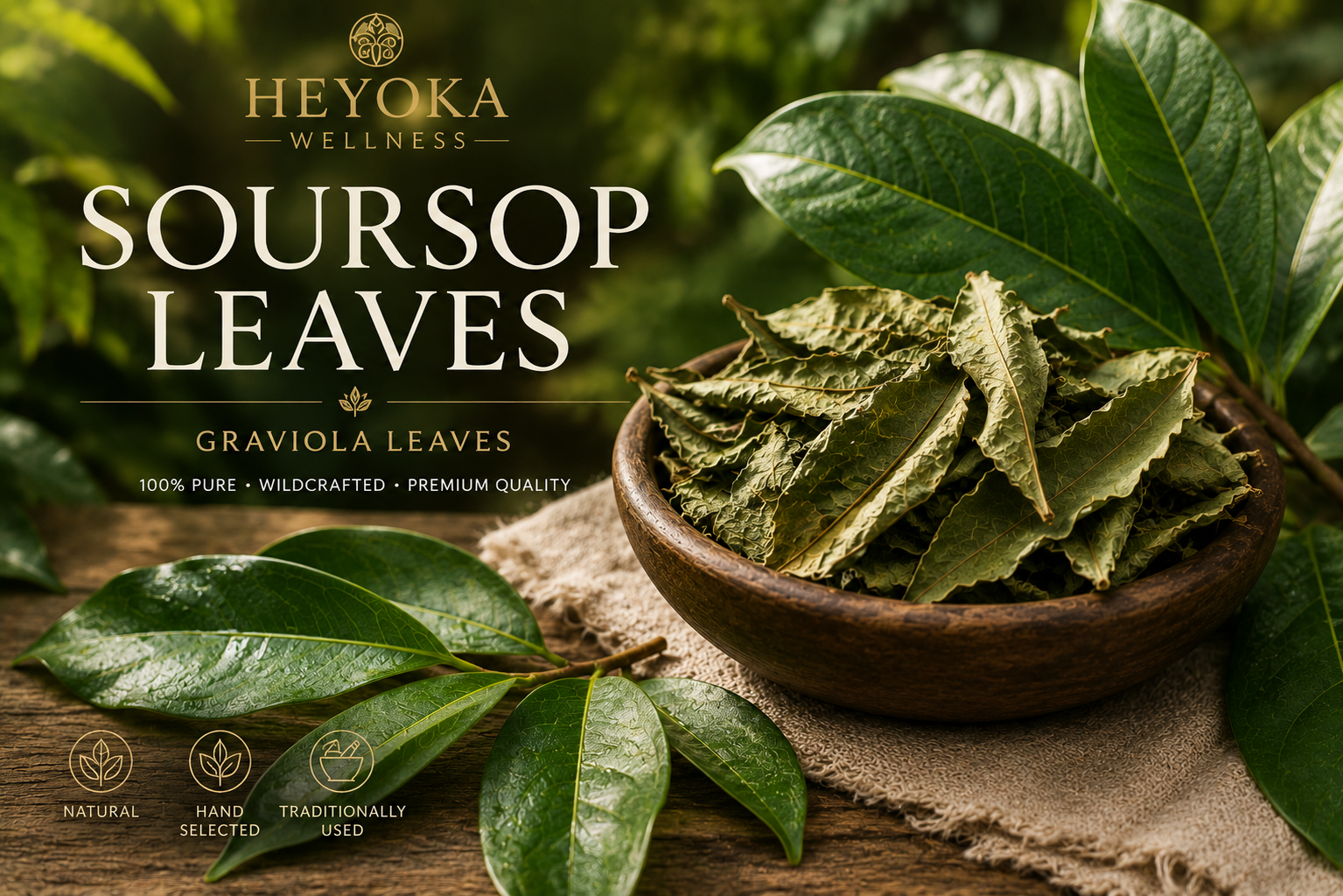 Soursop Leaves (Graviola Leaves)