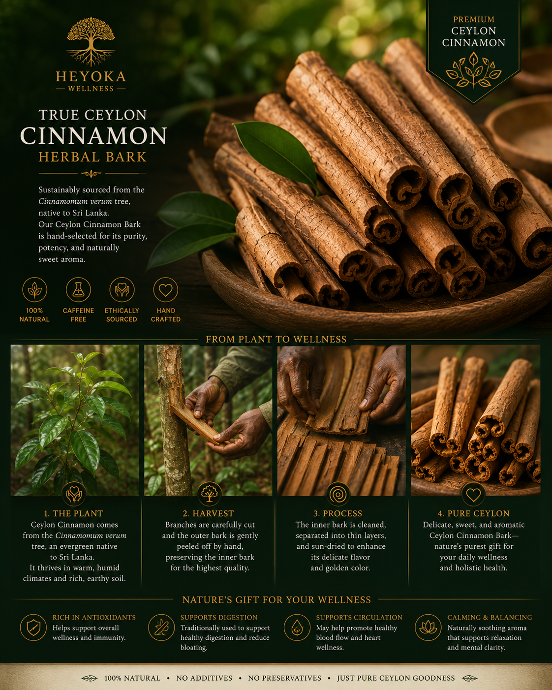 Ceylon Cinnamon (True Cinnamon Bark)