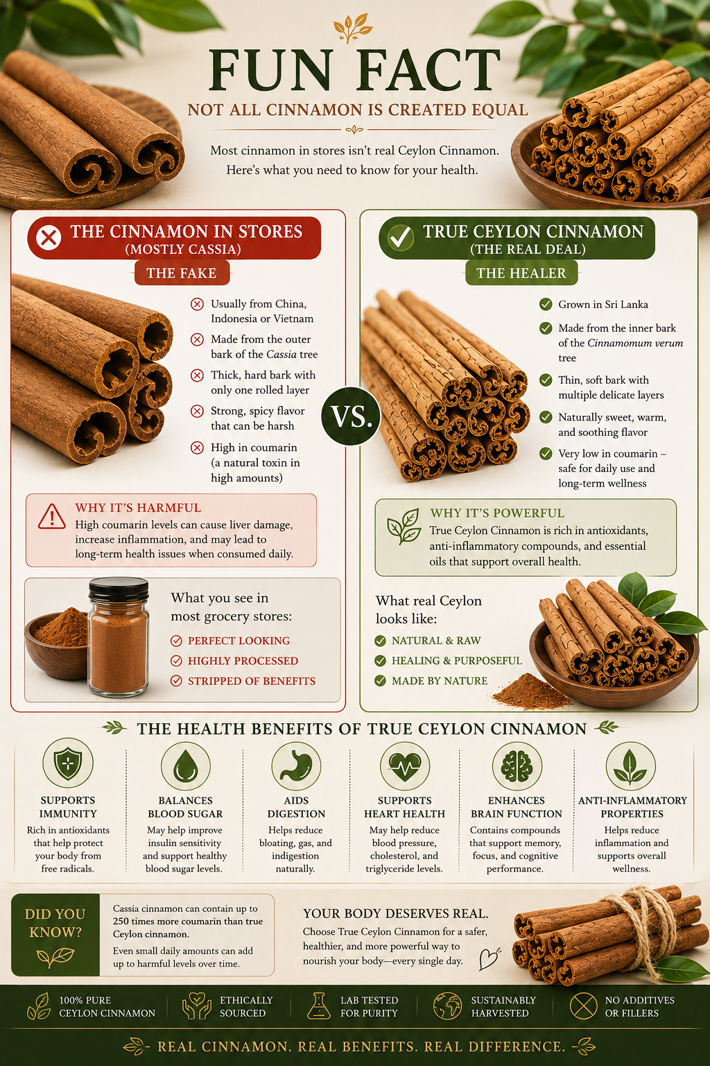 Ceylon Cinnamon (True Cinnamon Bark)
