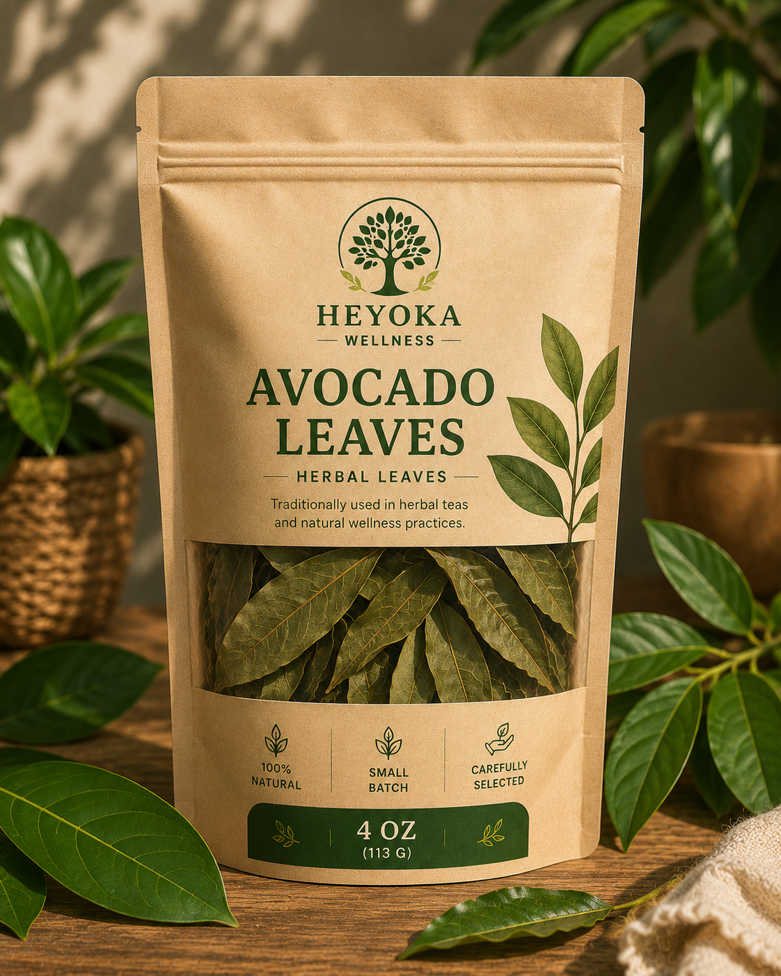 Avocado Leaves (Persea americana)